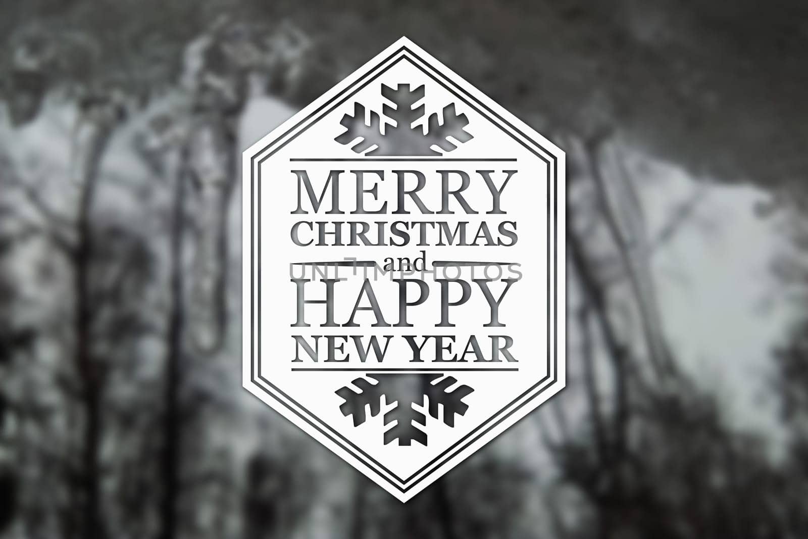 Merry Christmas and New Year greeting card on blurred trees at winter black and white background