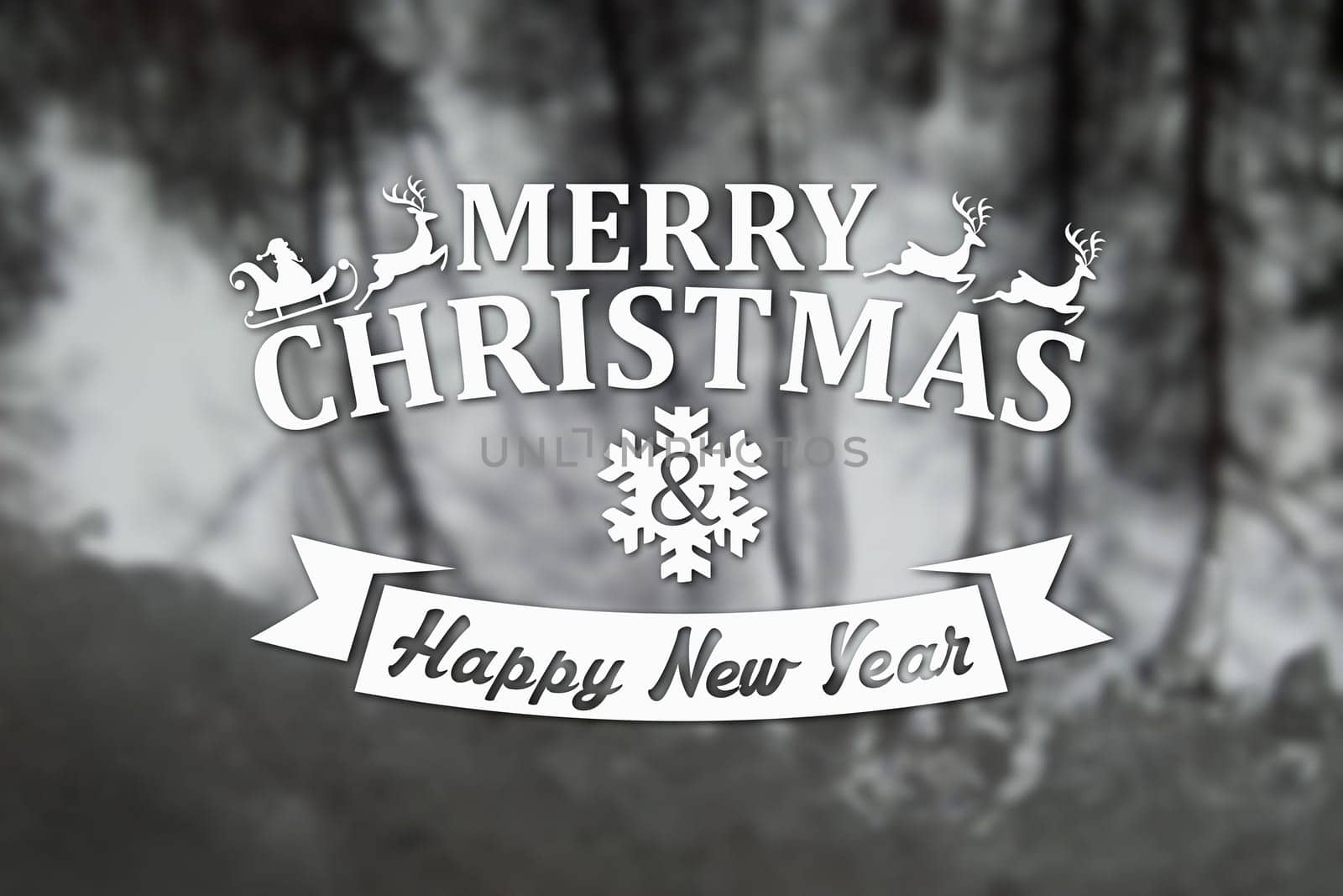 Merry Christmas and New Year greeting card on blurred trees at winter black and white background