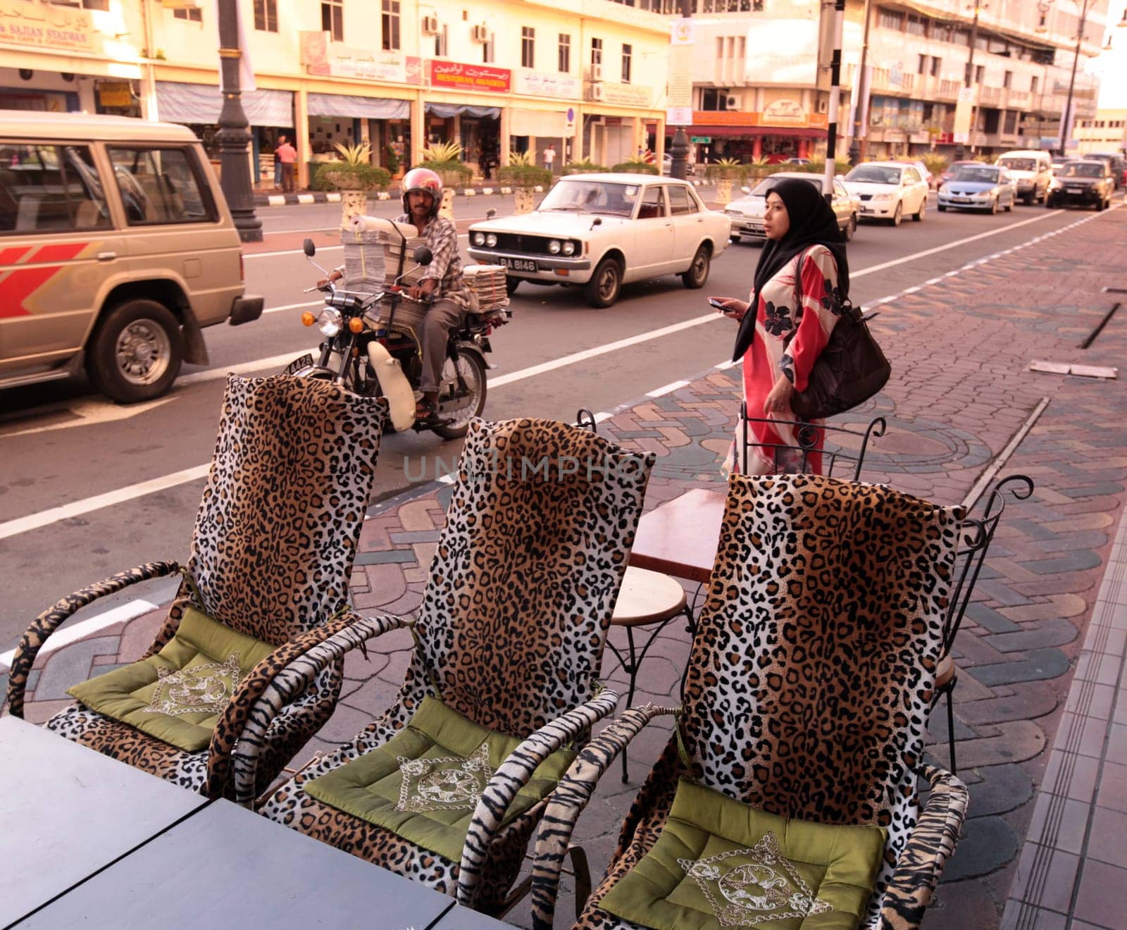 a chair in tiger style in a restaurant in the city of Bandar seri Begawan in the country of Brunei Darussalam on Borneo in Southeastasia.