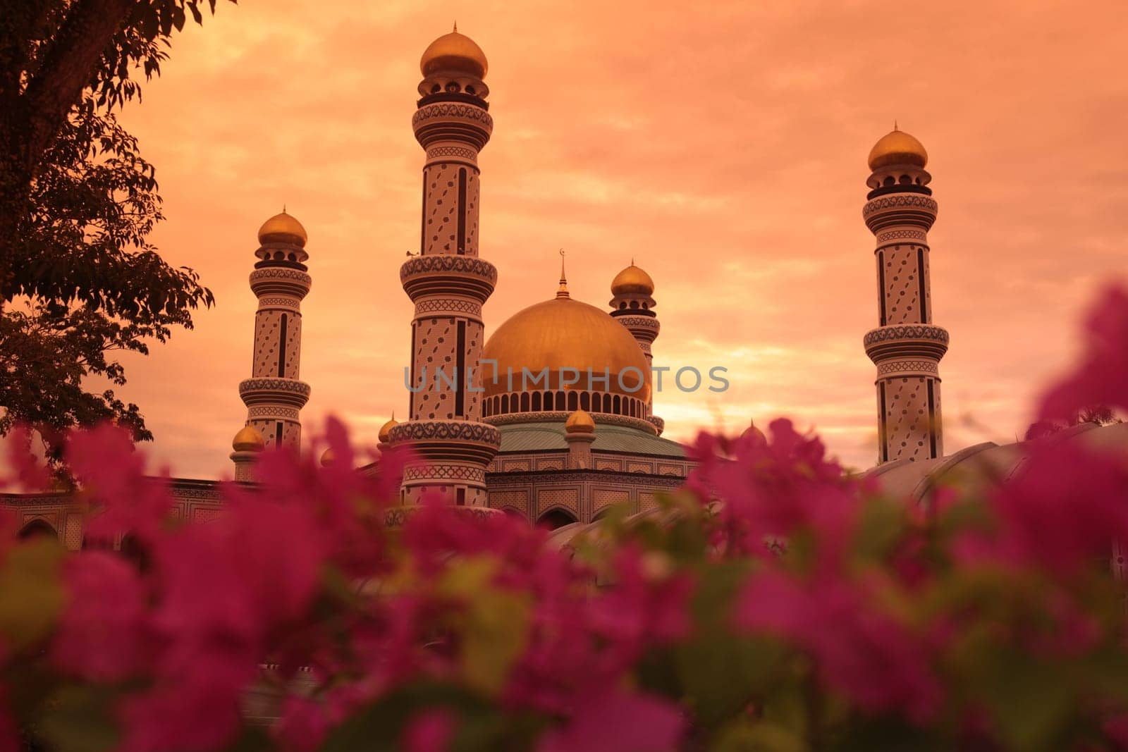 The Jame Asr Hassanil Bolkiah Mosque in the city of Bandar seri Begawan in the country of Brunei Darussalam on Borneo in Southeastasia.
