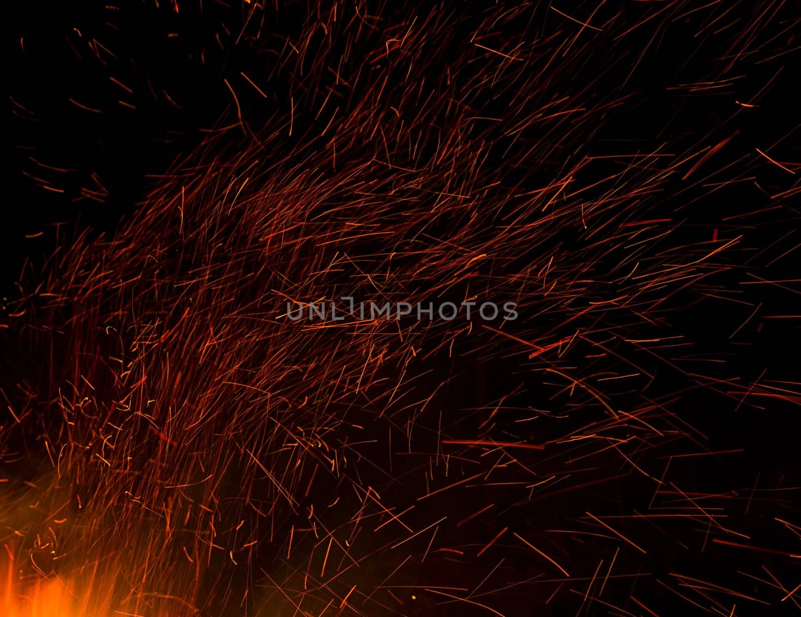 Fire flames on a black background. Blaze fire flame texture background. Close up of fire flames isolated on black background. Burn. Abstract fire flames background. Texture.