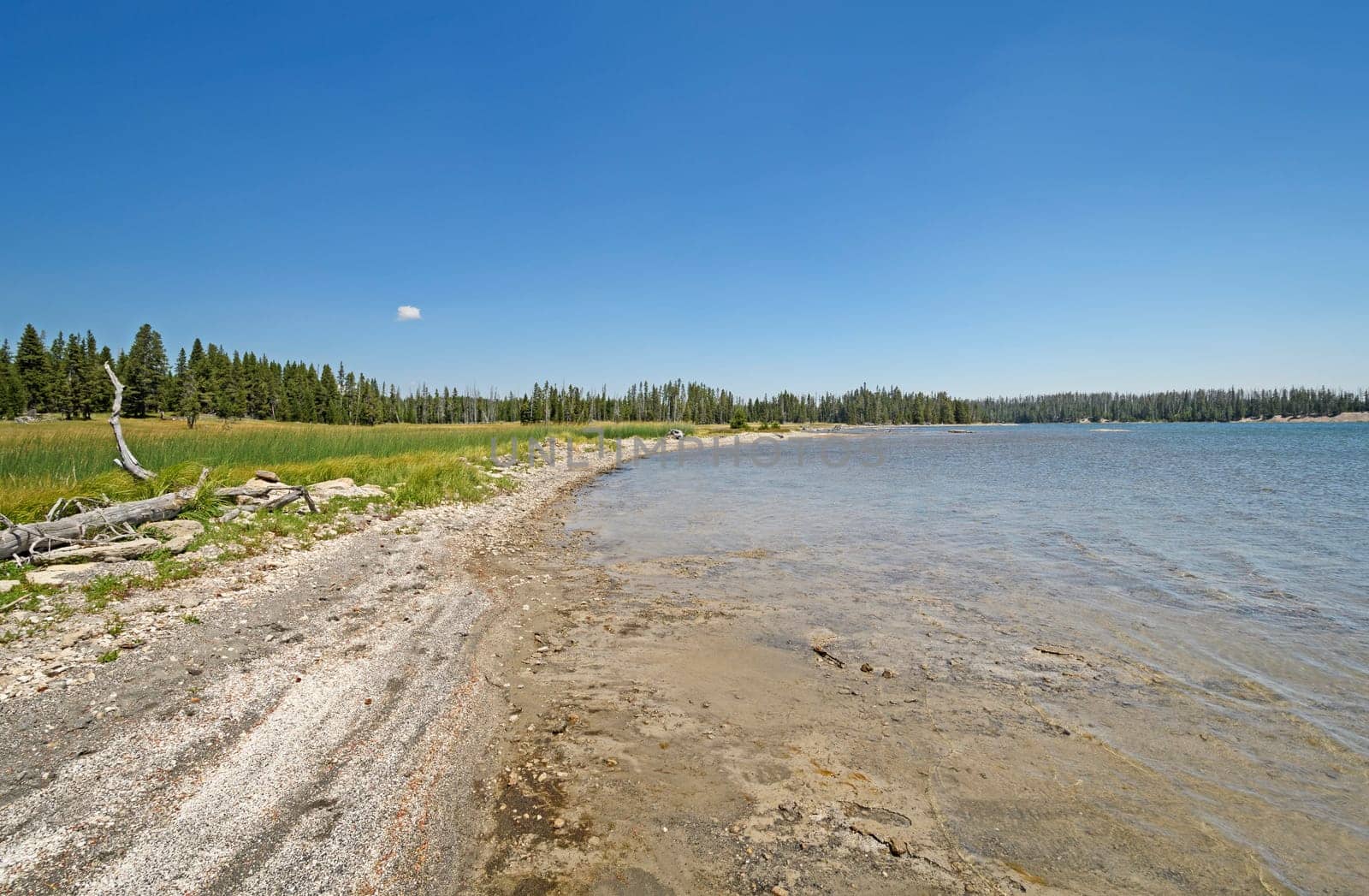 Remote Shore on a Wilderness Lake on Lewis Lake in Yellowstone National Park in Wyoming