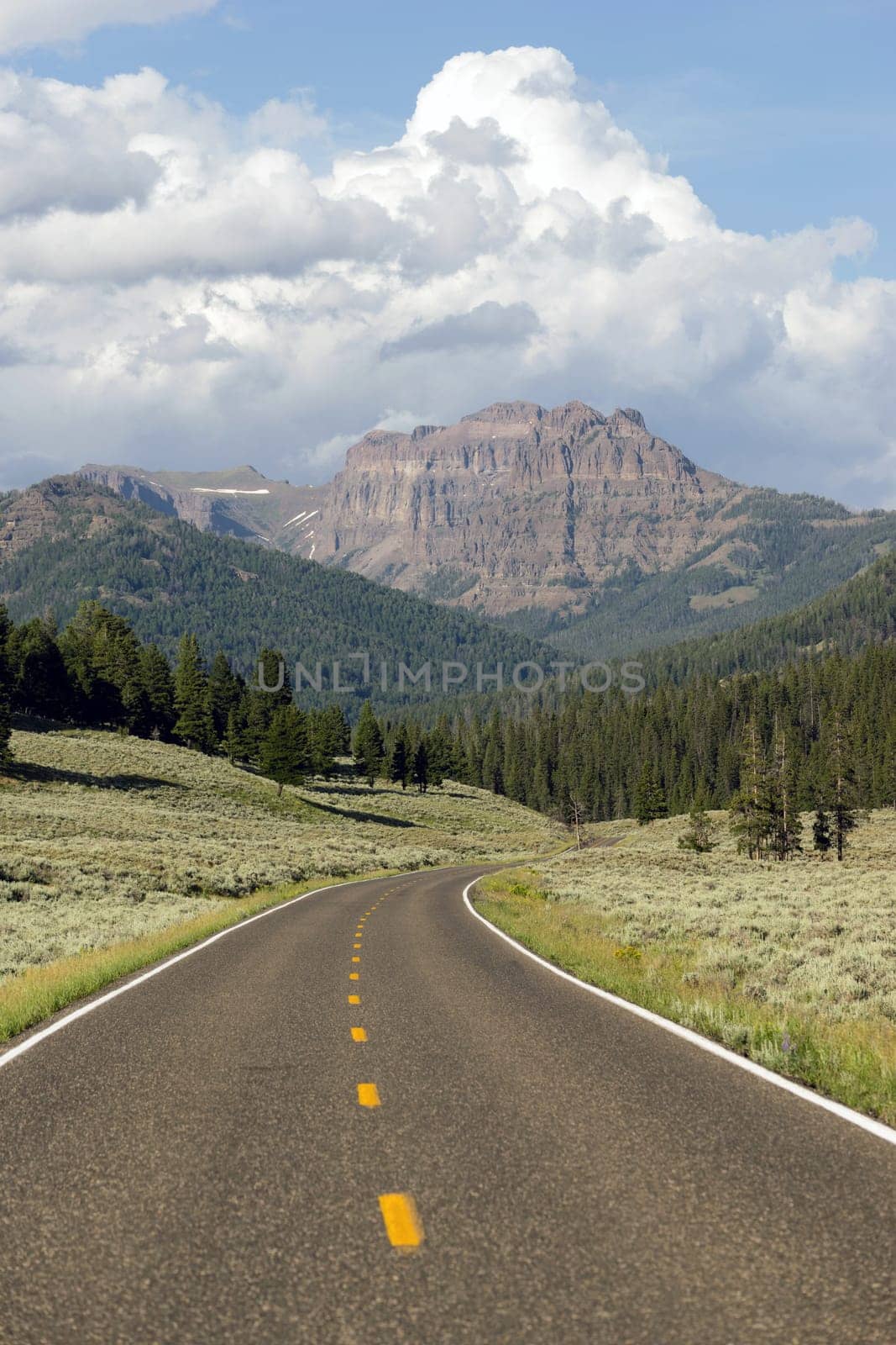 Winding road leads into the mountains of Yellowstone