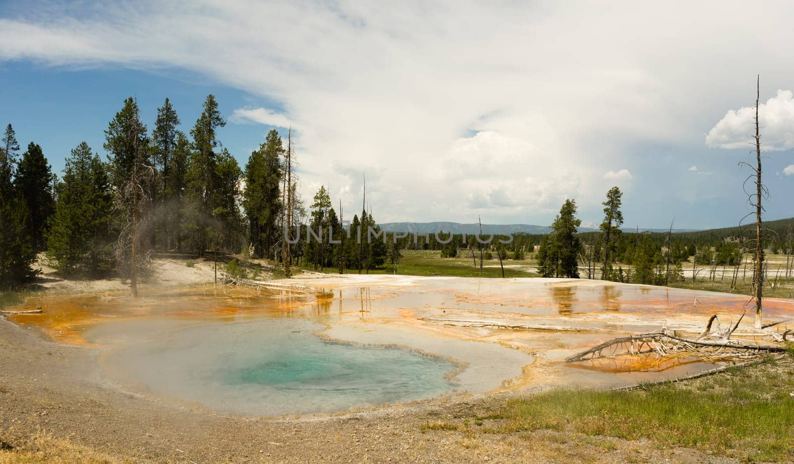 Teal blue liquid bubbles up from underground in Yellowstone