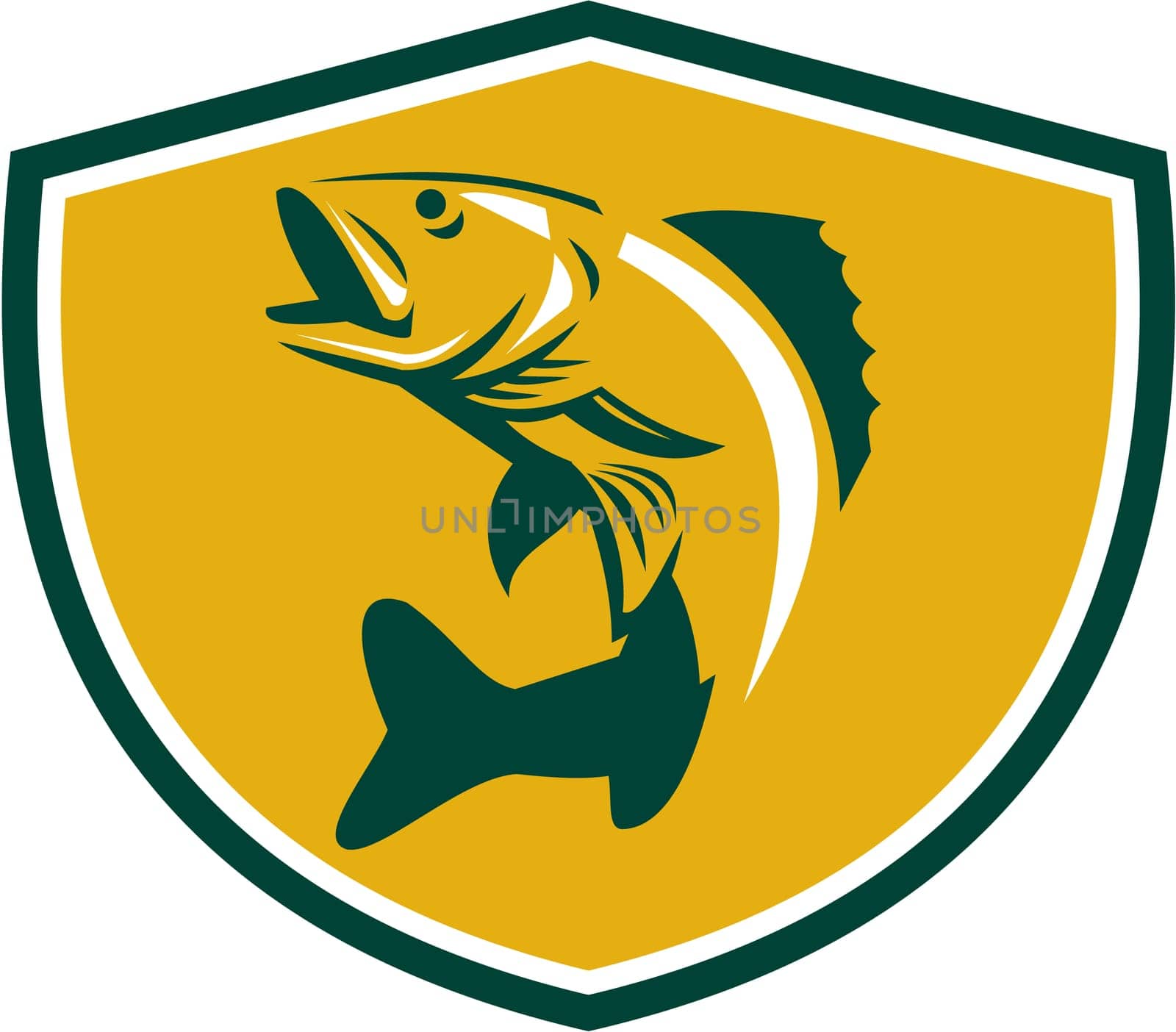 Illustration of a Walleye (Sander vitreus, formerly Stizostedion vitreum), a freshwater perciform fish jumping up  viewed from the side set inside shield crest on isolated background done in retro style.