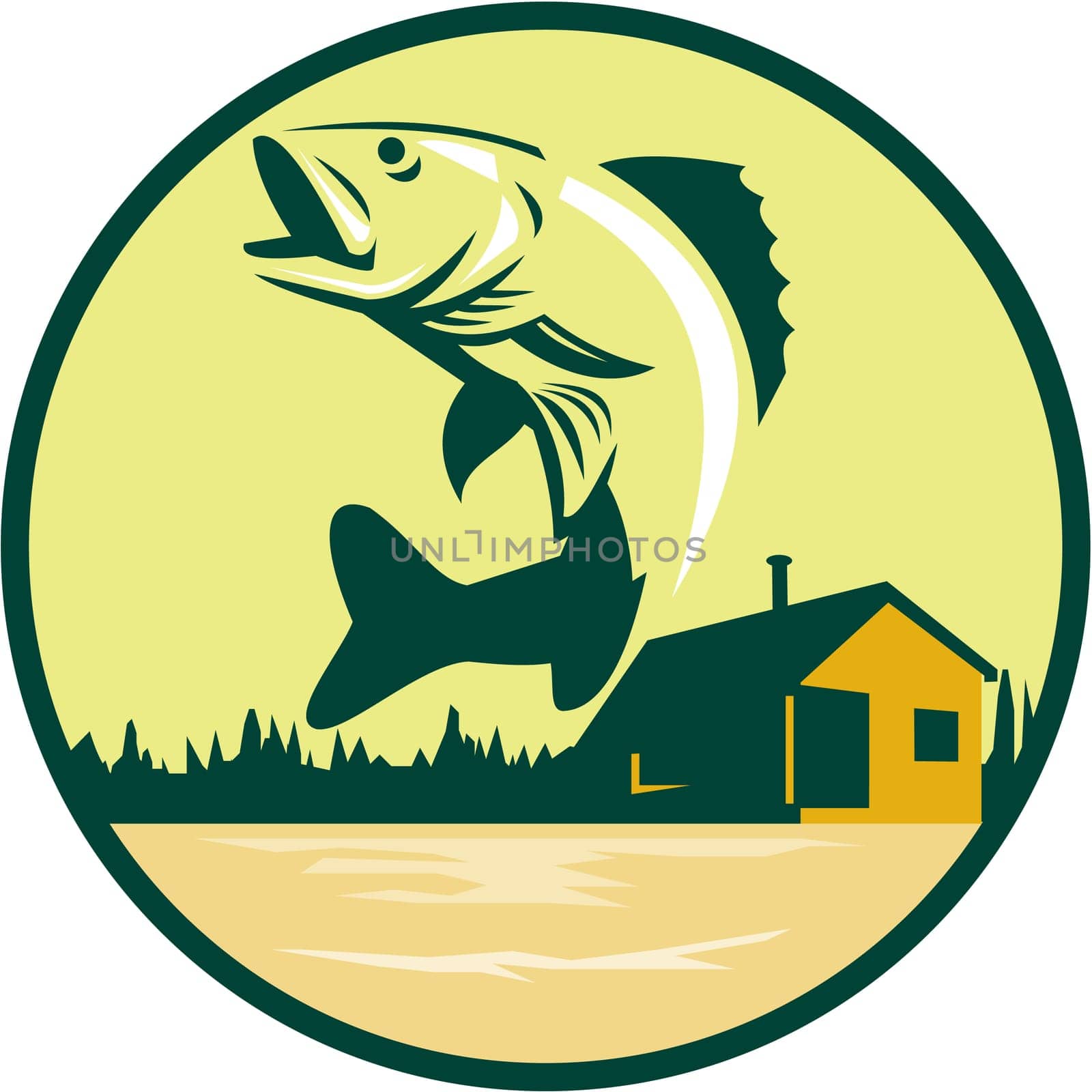 Illustration of a Walleye (Sander vitreus, formerly Stizostedion vitreum), a freshwater perciform fish jumping with lake and cabin in the woods in the background set inside circle done in retro style.