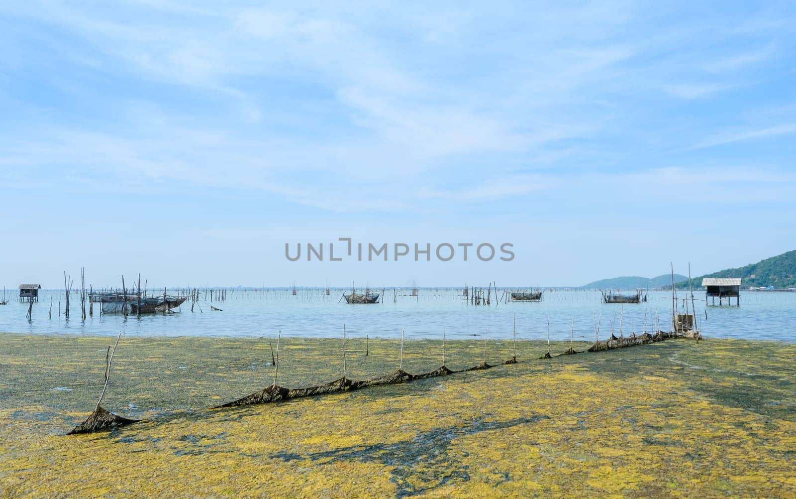 Algal bloom in a tropical ocean and marine fish farming, Thailand