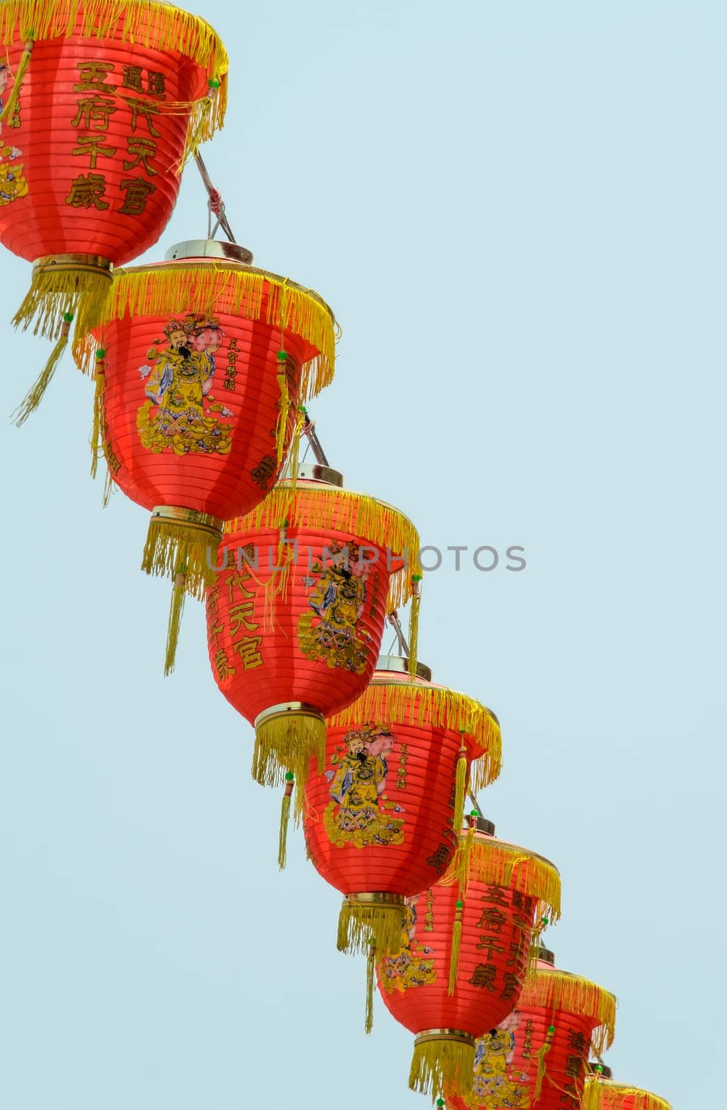 Chinese red lantern (decoration for Chinese New Year Festival)