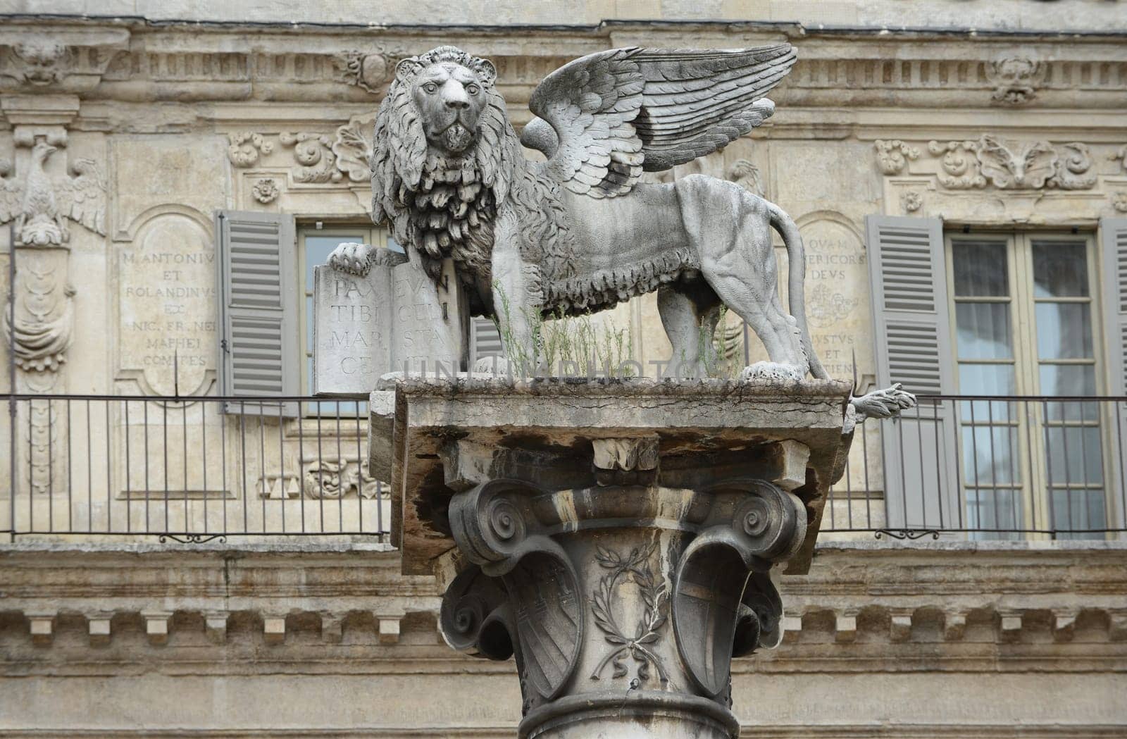 St. Mark's Lion, symbol of the Republic of Venice on a white marble column at the Piazza delle Erbe in Verona, Italy.