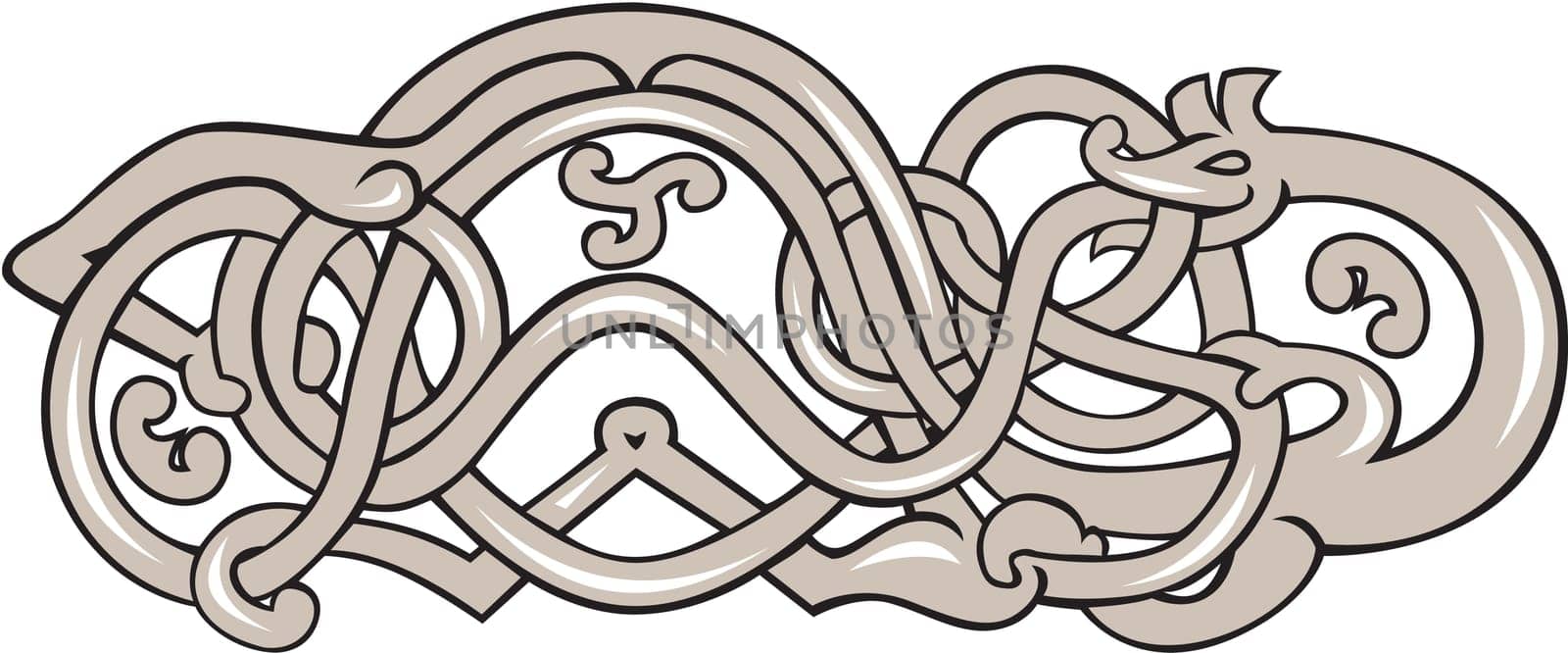 Illustration of an urnes snake with extended stomach in grey set on isolated white background done in retro style.