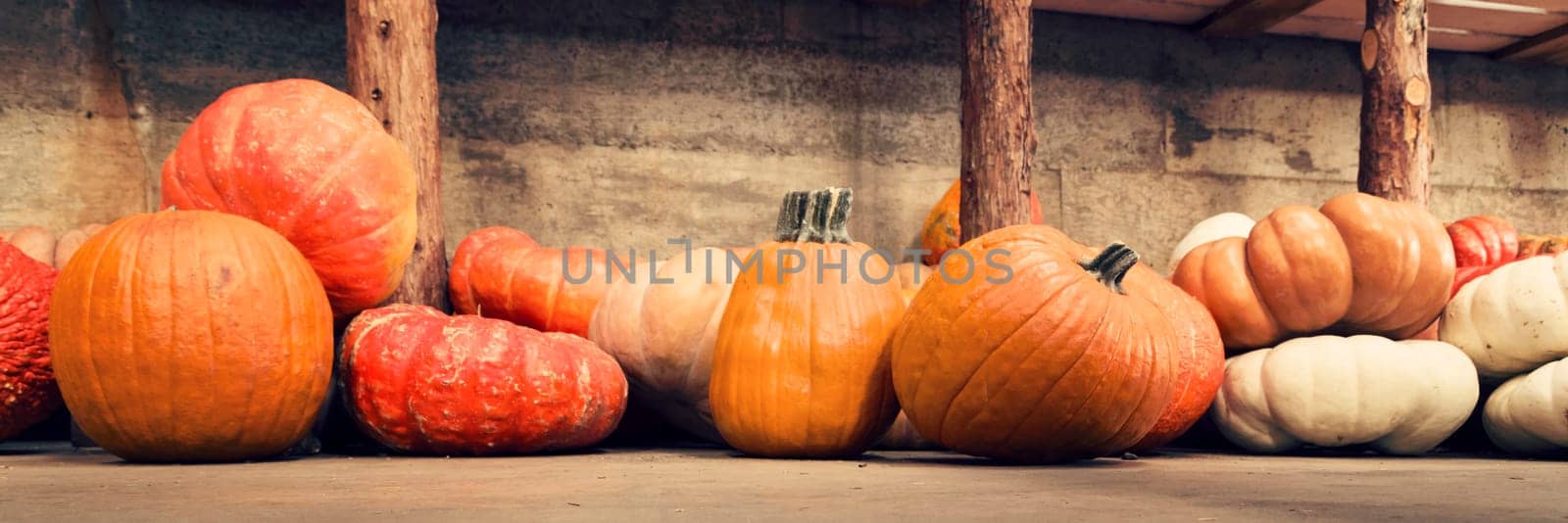 Assortment of pumpkins