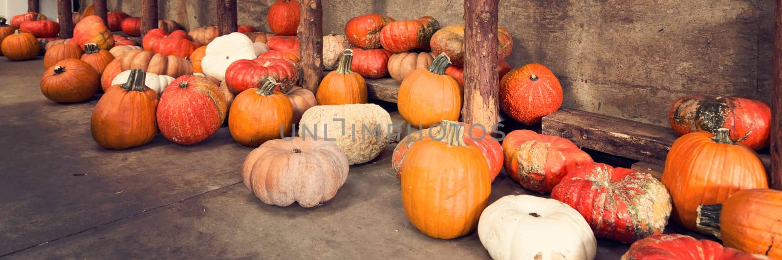 Assortment of pumpkins