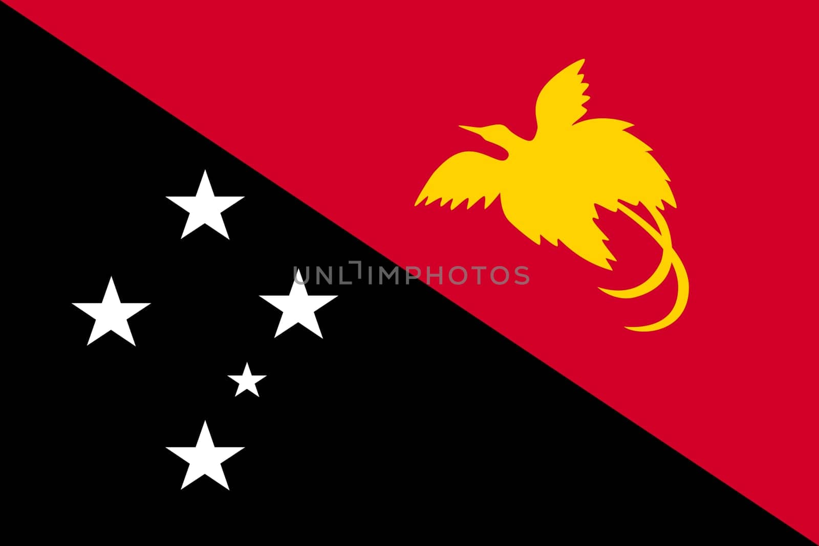 Papua New Guinean national official flag. Papuan patriotic symbol, banner, element, background. Accurate dimensions. Flag of Papua New Guinea in size and colors, vector illustration