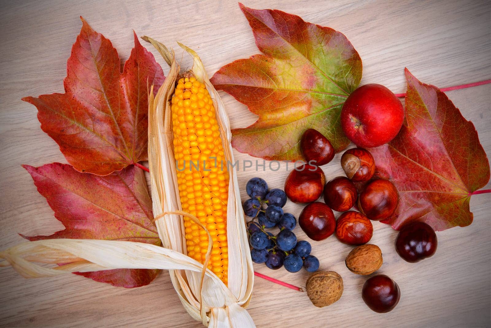 autumn still life- grapes, leaves, apple, corncob,chestnut,and walnut on wooden ground