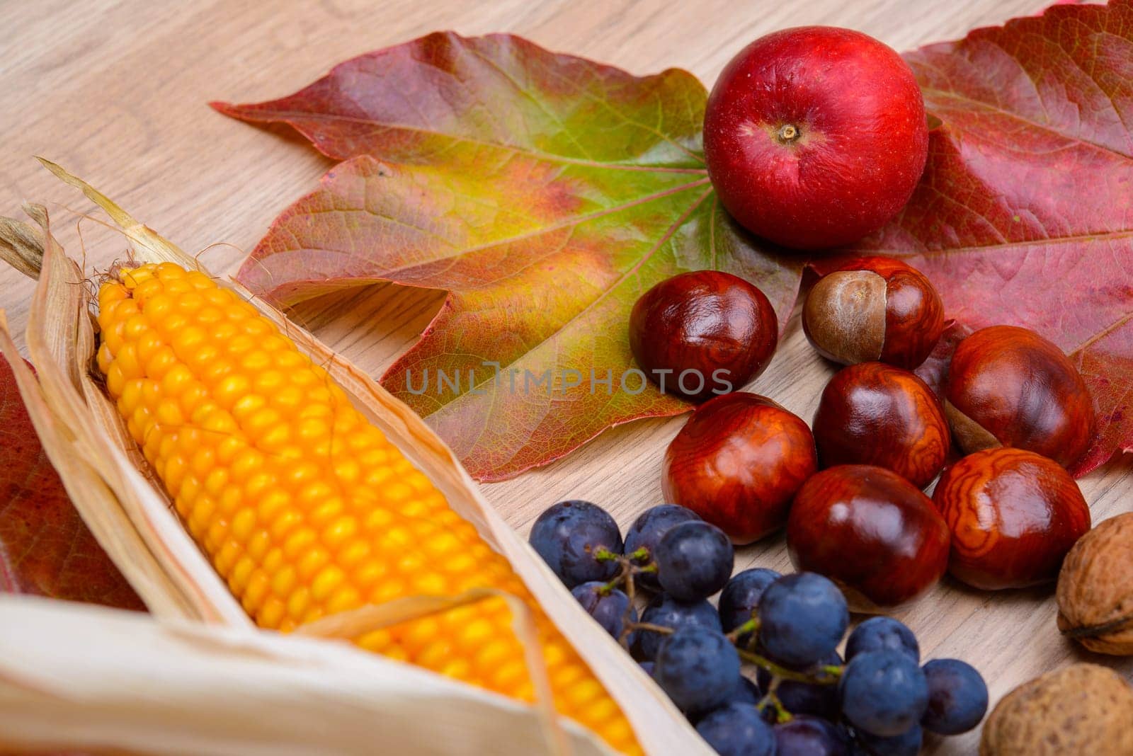 autumn still life- grapes, leaves, apple, corncob,chestnut,and walnut on wooden ground