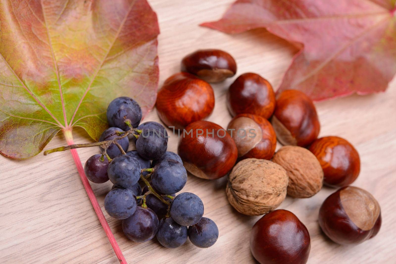 autumn still life- grapes, leaves,chestnut,and walnut on wooden ground