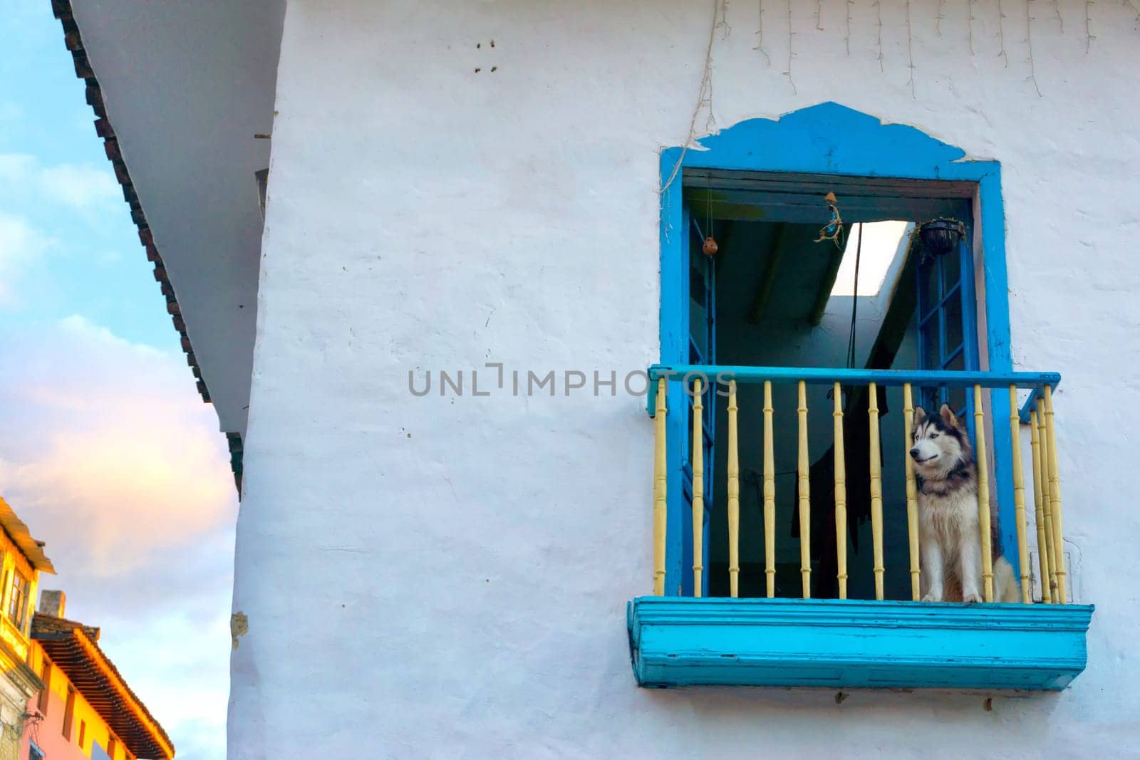 Dog sitting on a historic colonial balcony in Bogota, Colombia