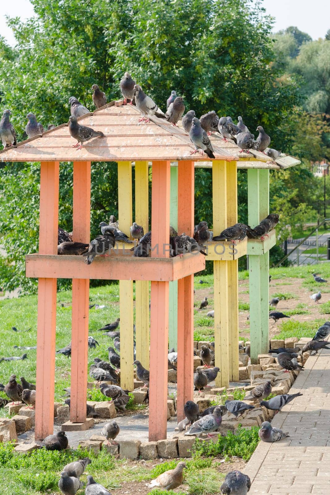 Two small pigeon with pigeons sitting on them