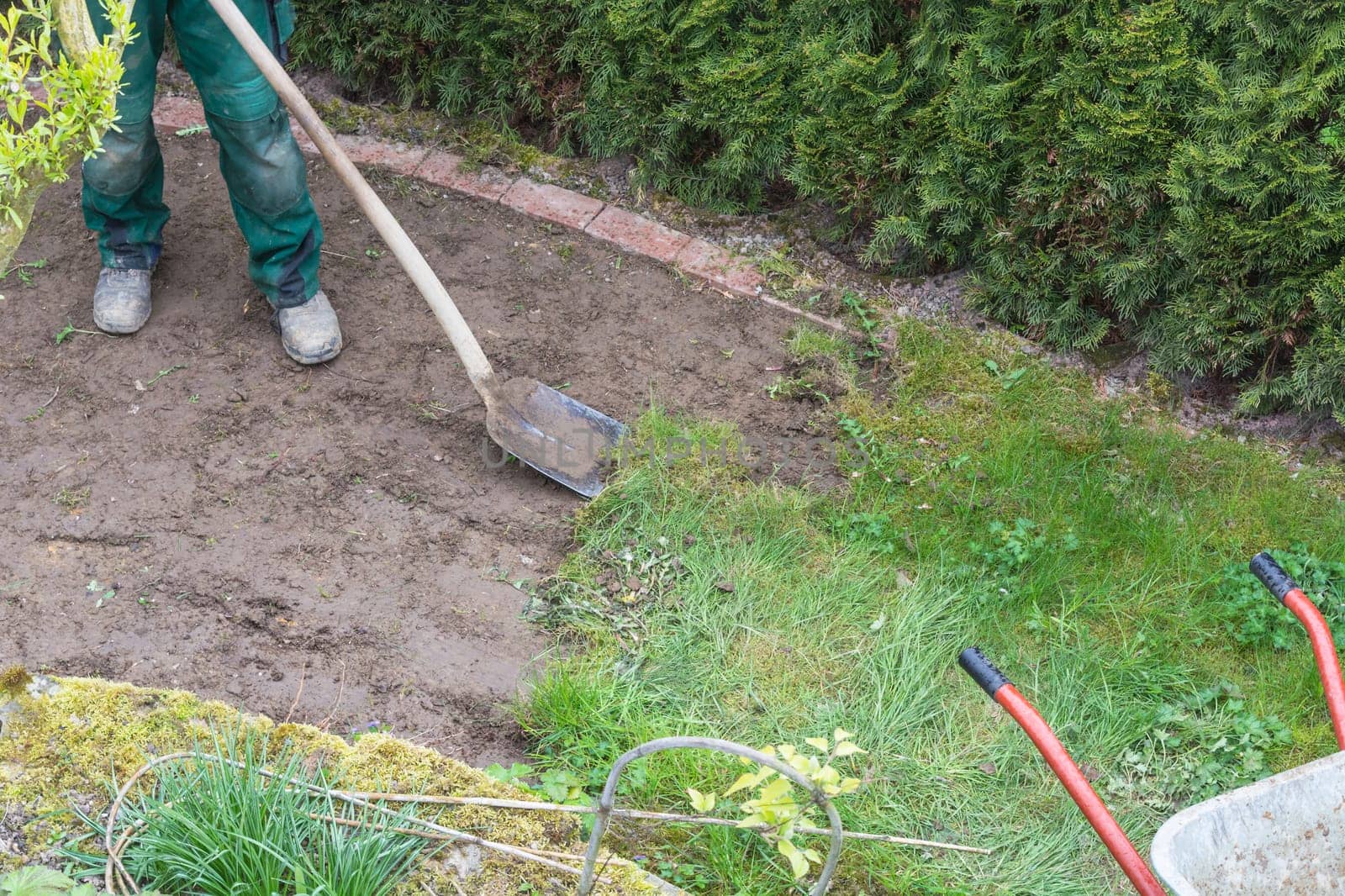 Gardening,piercing the old grass scar .