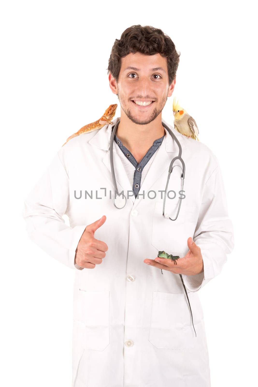 Young veterinarian with several animals isolated in white