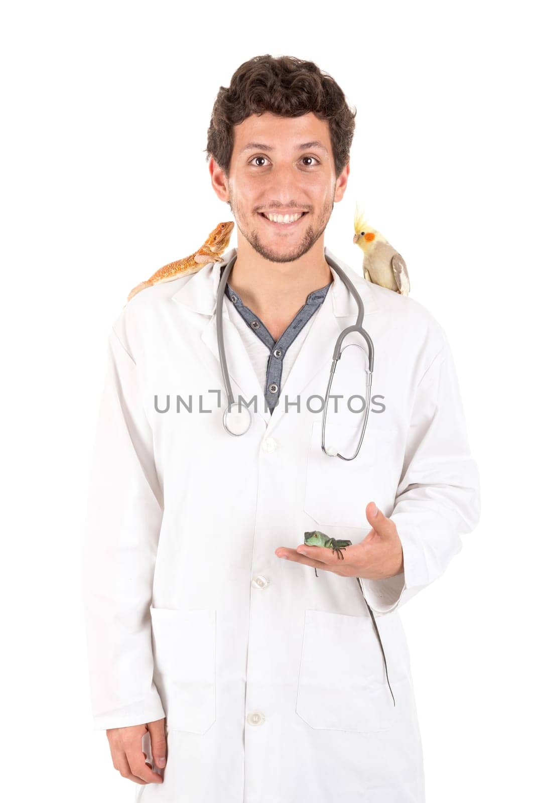 Young veterinarian with several animals isolated in white