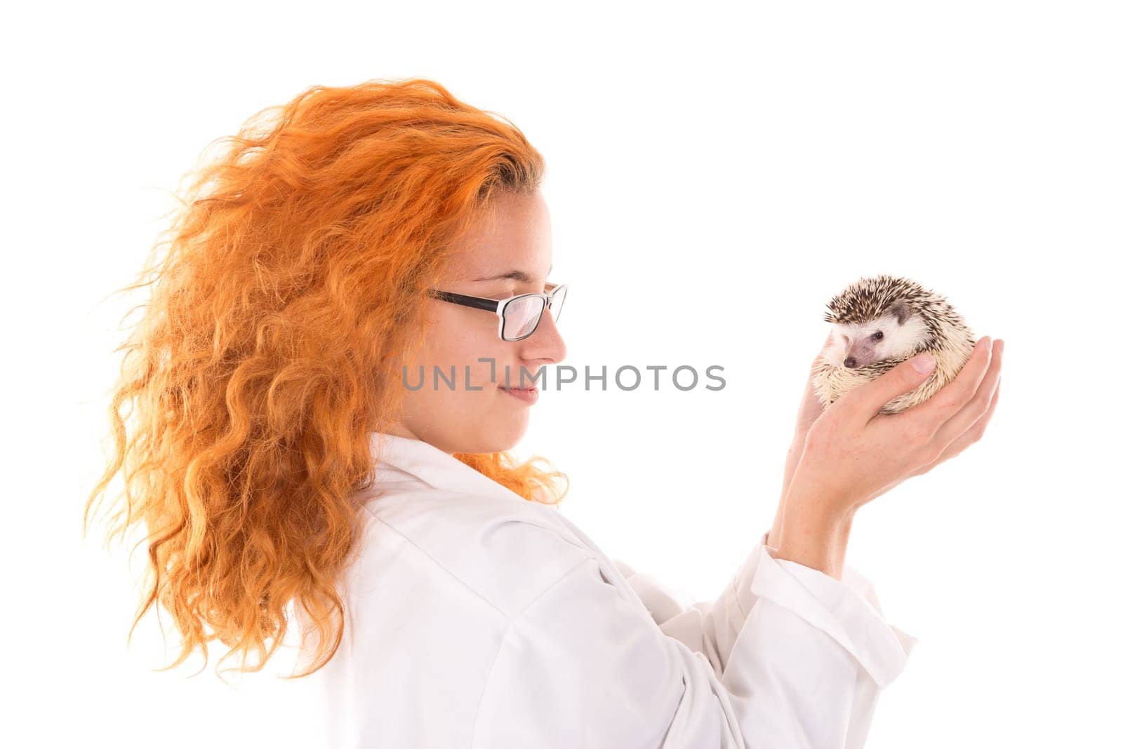 Veterinarian girl with hedgehog isolated in white