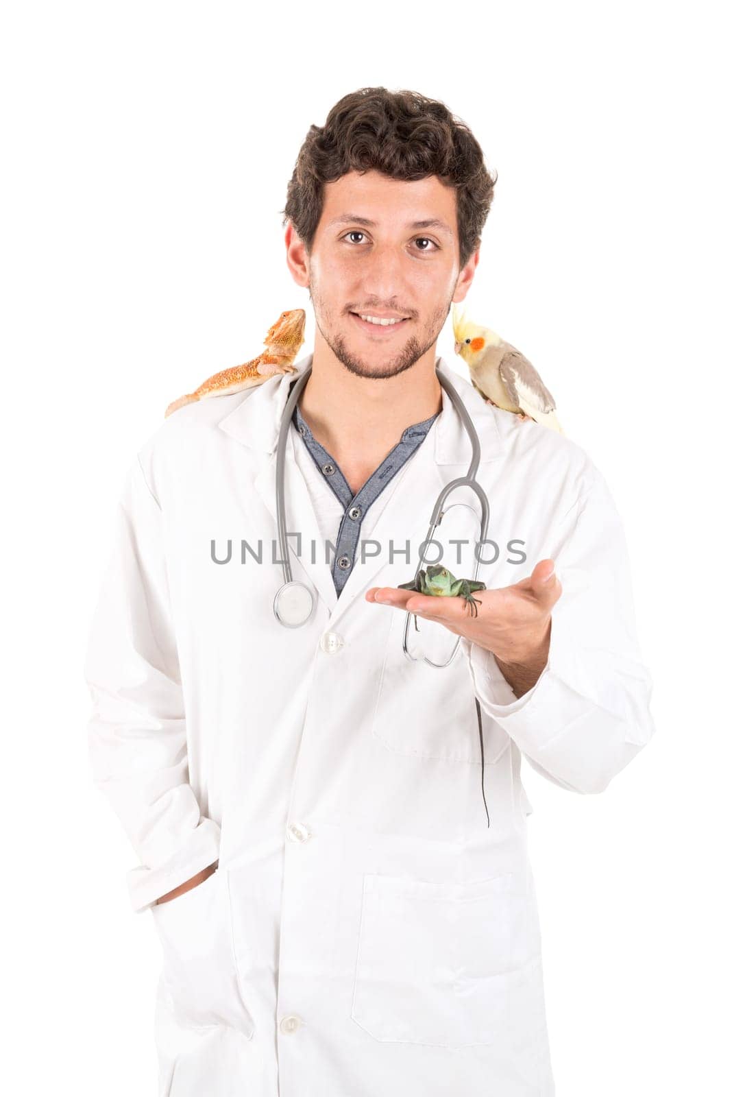 Young veterinarian with several animals isolated in white