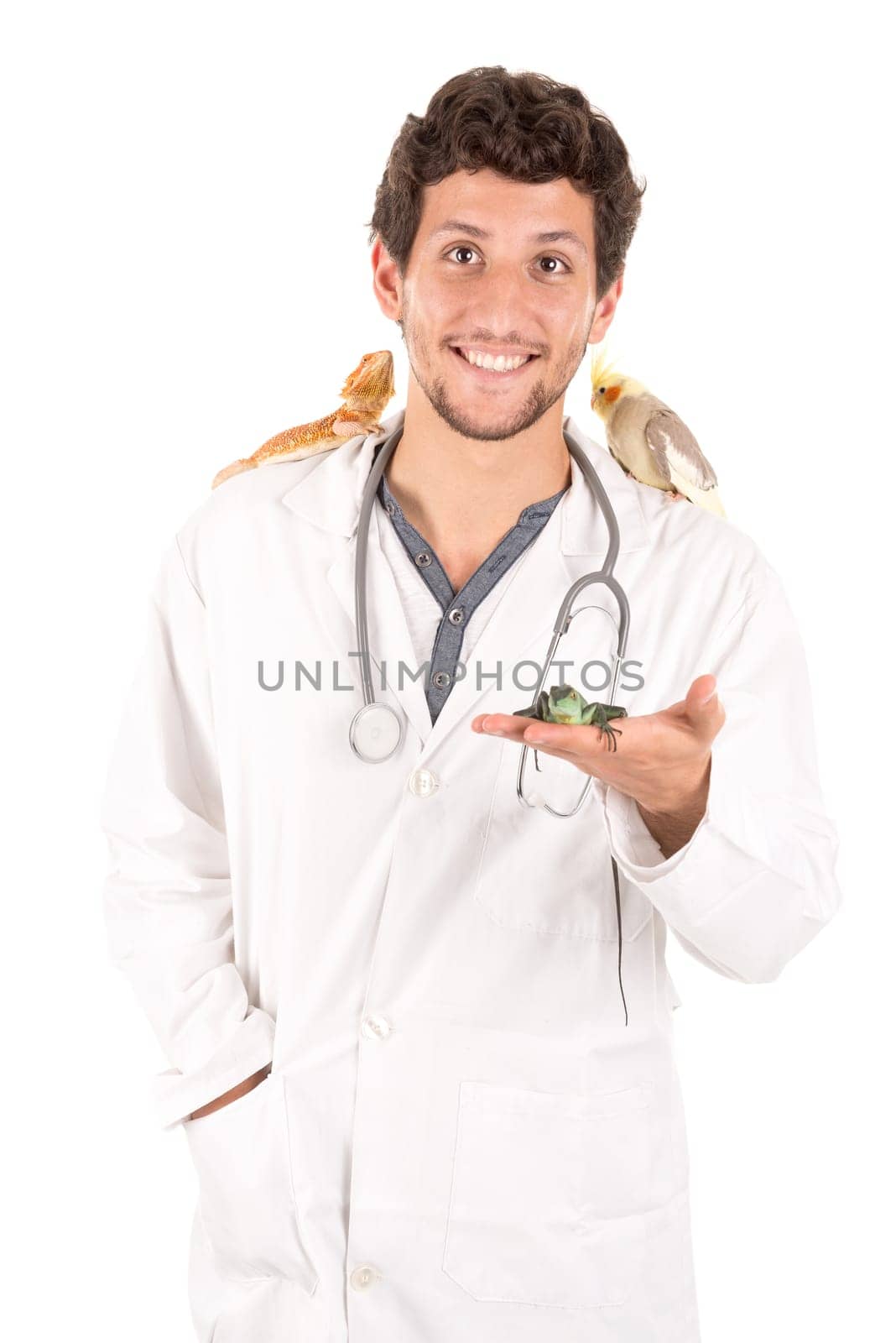 Young veterinarian with several animals isolated in white