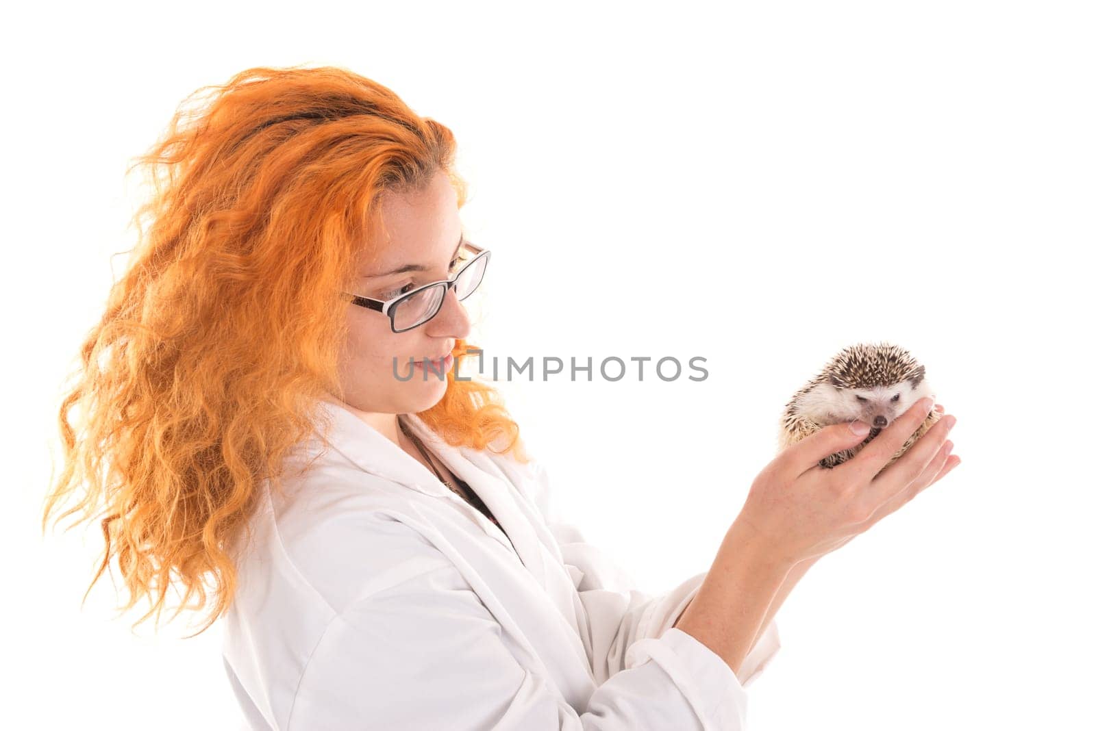 Veterinarian girl with hedgehog isolated in white