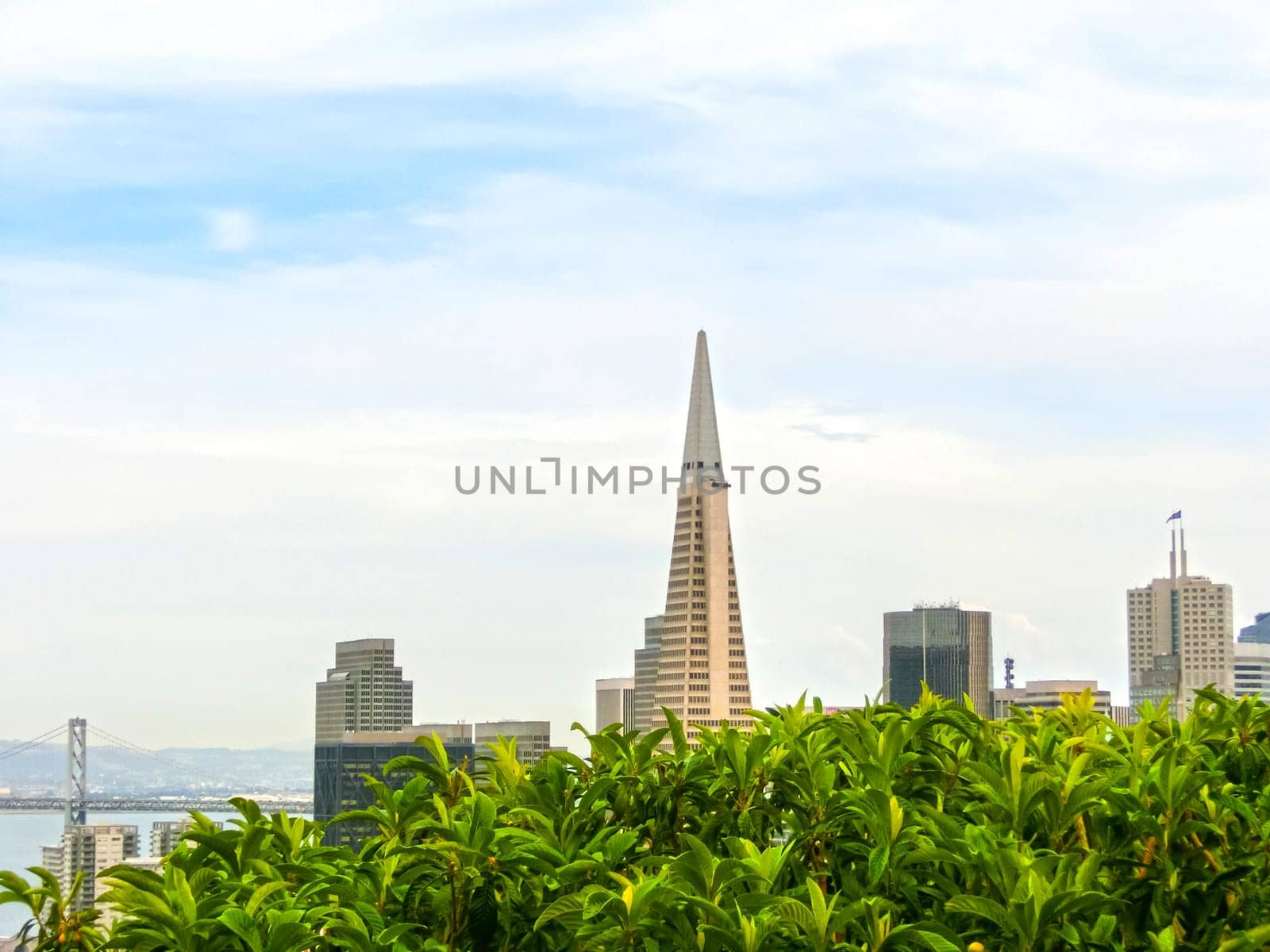 San Francisco, California, USA - May 04, 2016: San Francisco Cityscape with Downtown Skyscrapers in a Distance. San Francisco, California, USA. San Francisco