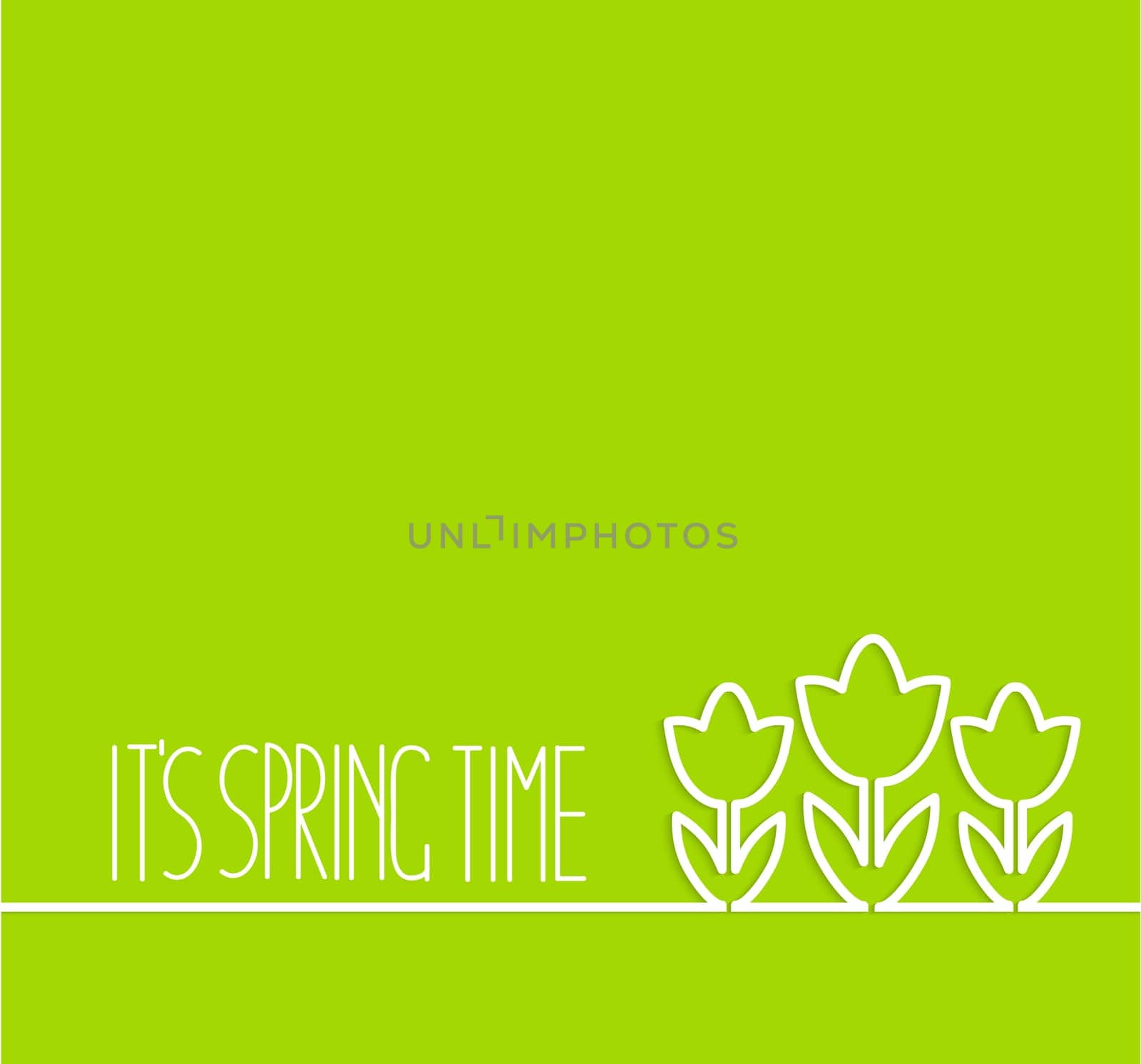 Green spring concept - line flowers with place for text, vector illustration.