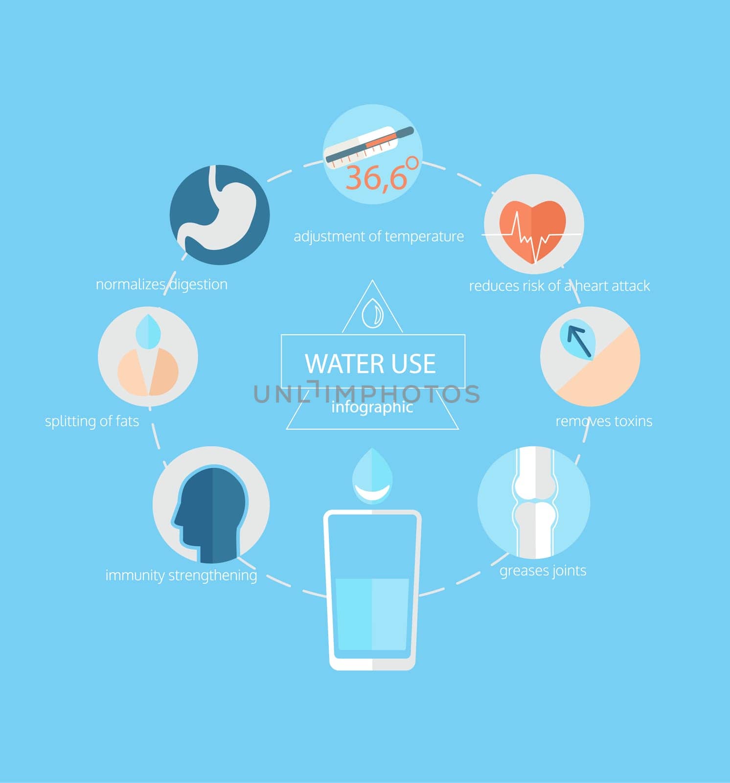 Infographic - use of water for human health, vector illustration.