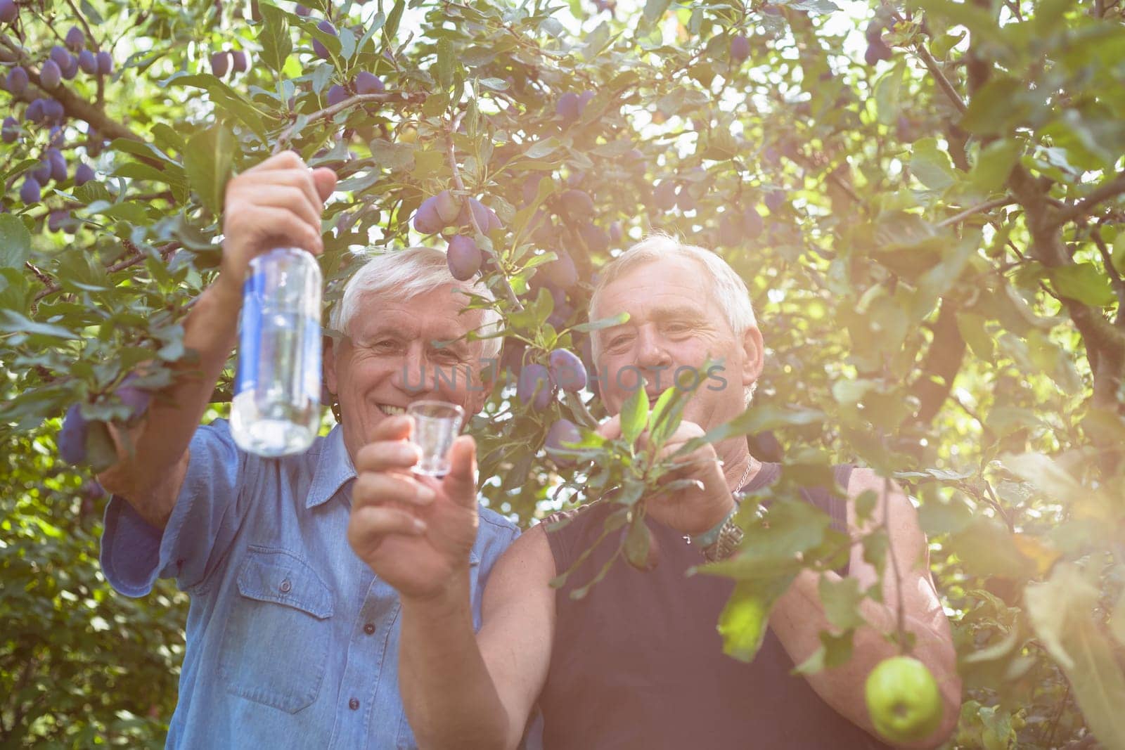 Two happy seniors with bottle of alcohol enjoying sunny day outdoors under fruit trees.