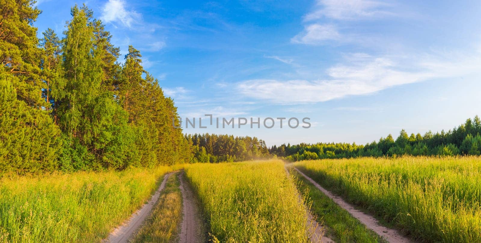 Rural landscape with road at summer. Panorama