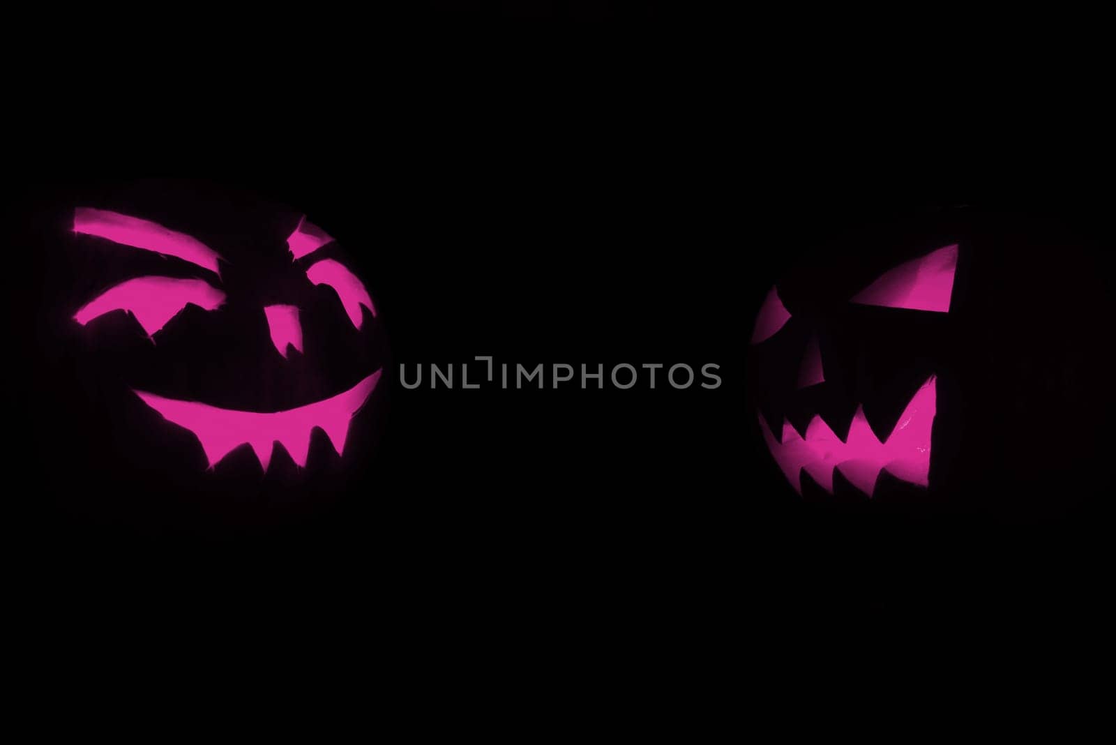 two purple halloween pumpkins on black background