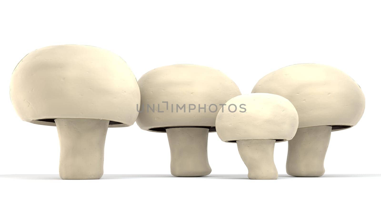 Mushrooms champignon set, agaricus isolated on white