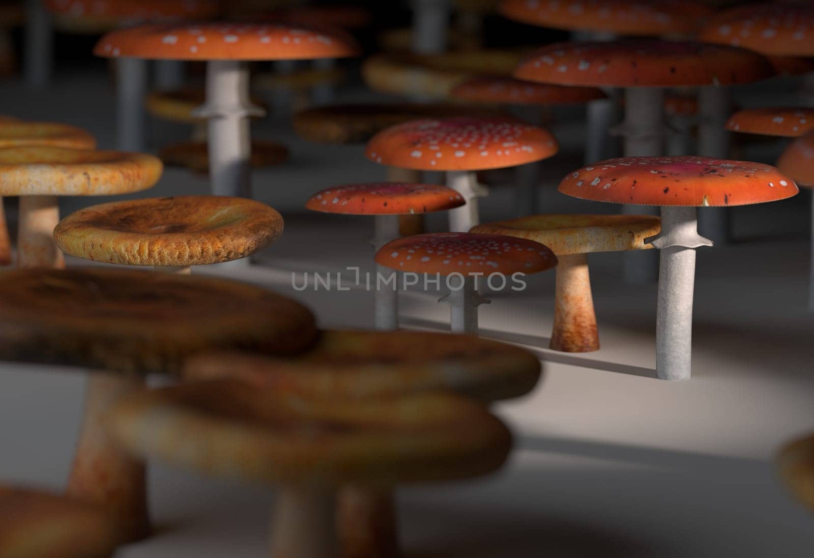 Set of mushrooms on white ground with sunlight 3d render