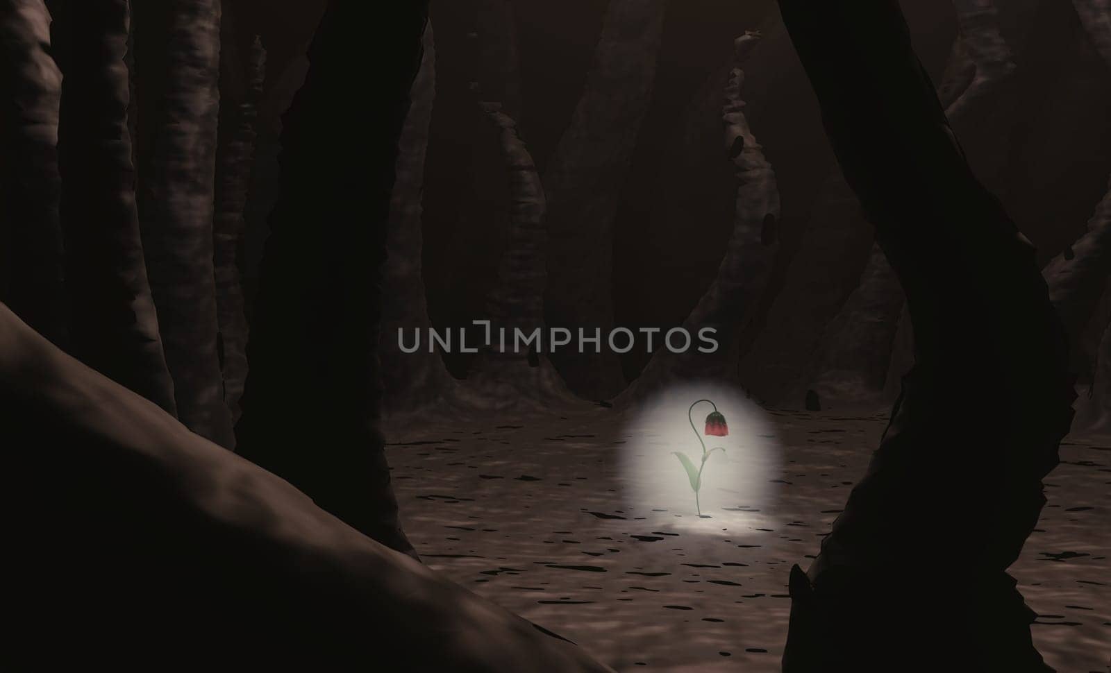 Flower shining growing through soil against spooky tree