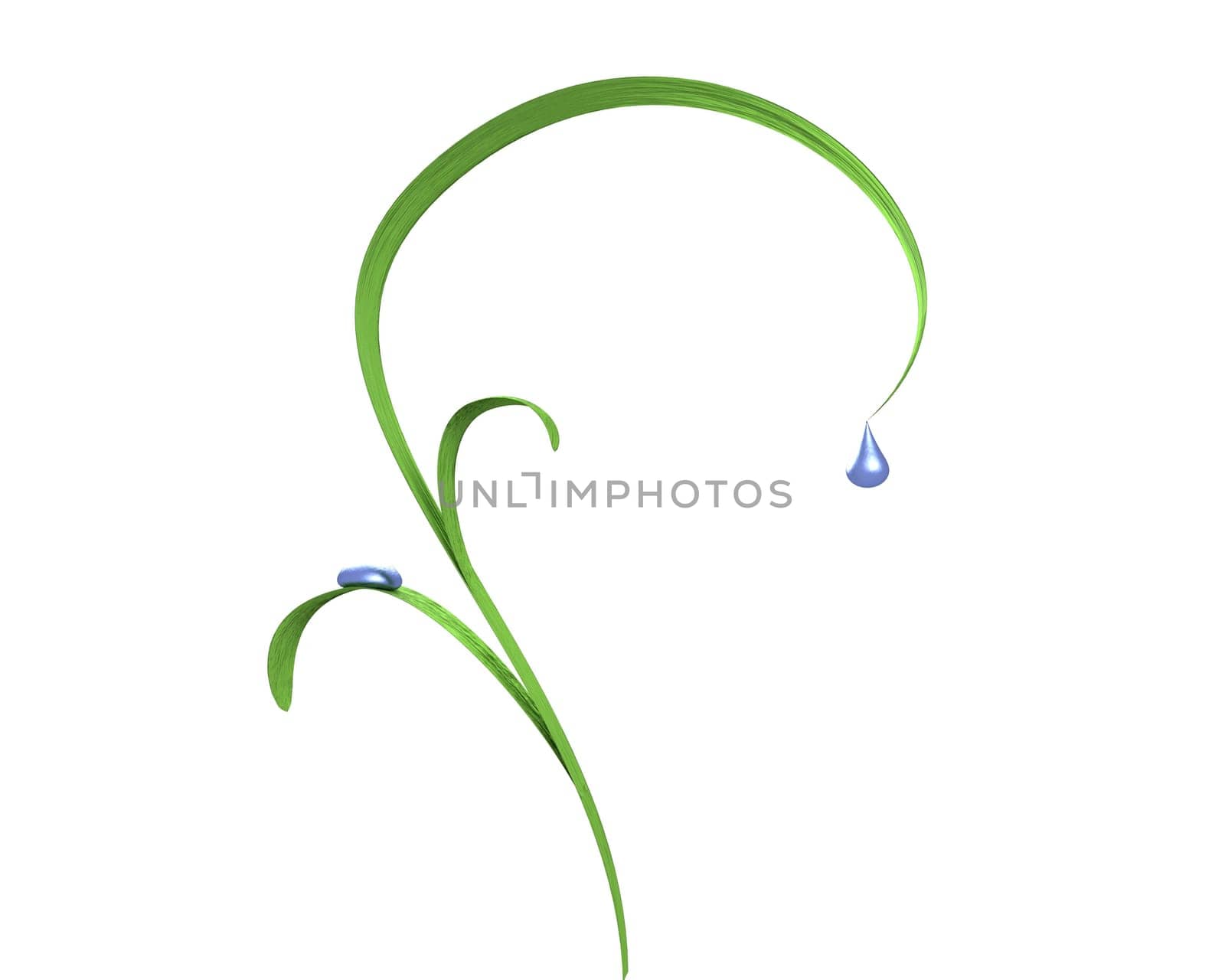 3d grass leafs with drops isolated