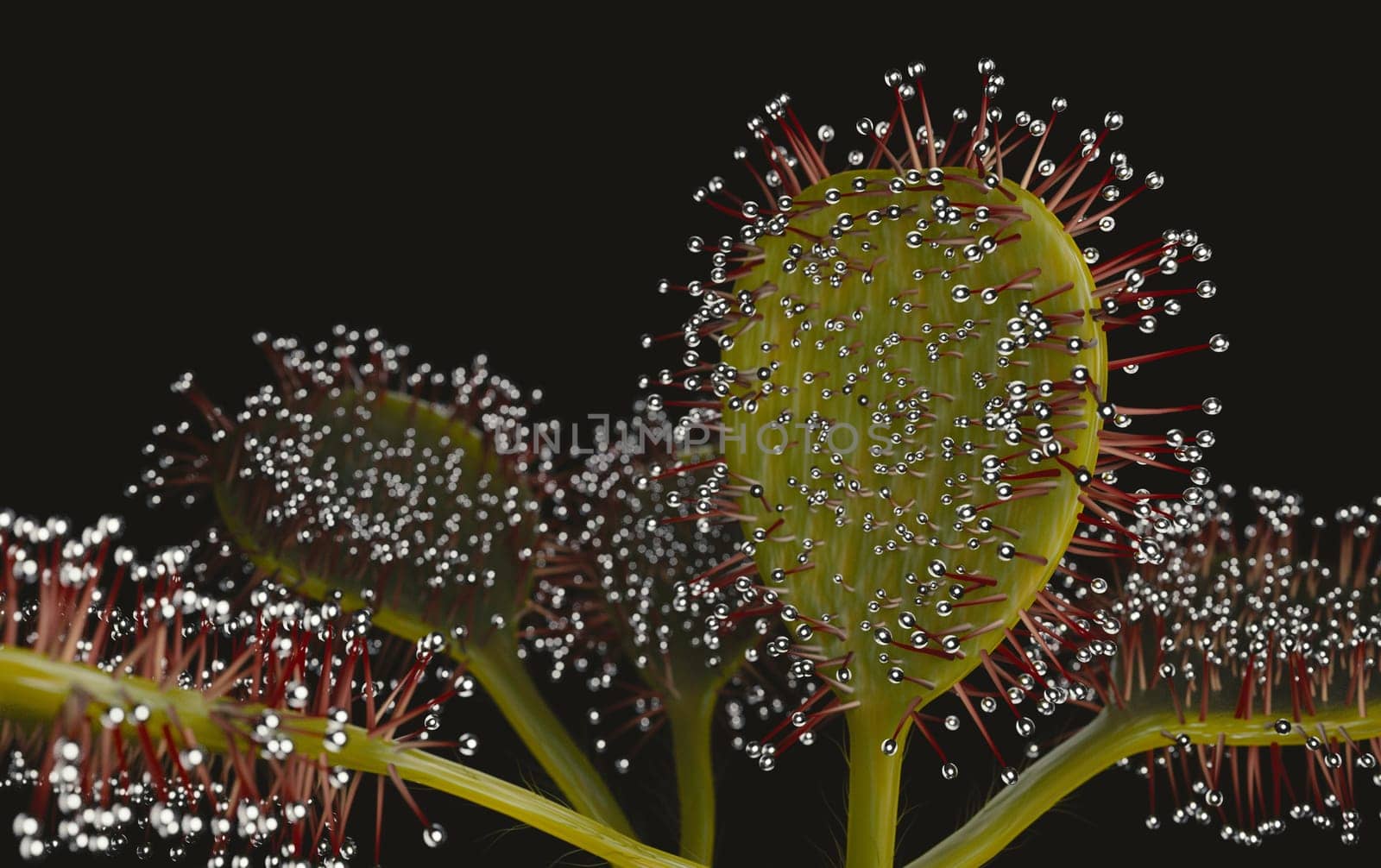 Drocera flower and it's sticky leaves 3d render