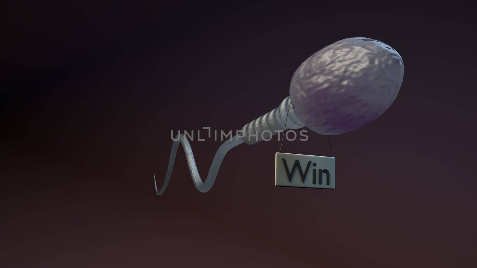 A single male sperm cell win many