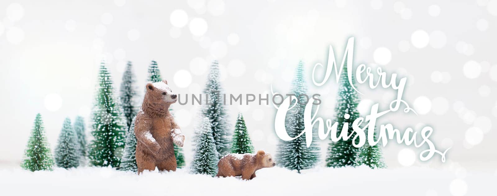 Christmas polar and grizzly bears in Snowy Winter Forest - Christmas Card