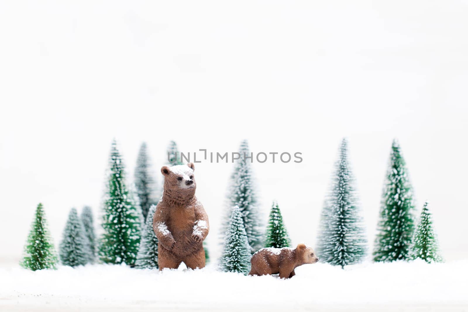 Christmas polar and grizzly bears in Snowy Winter Forest - Christmas Card
