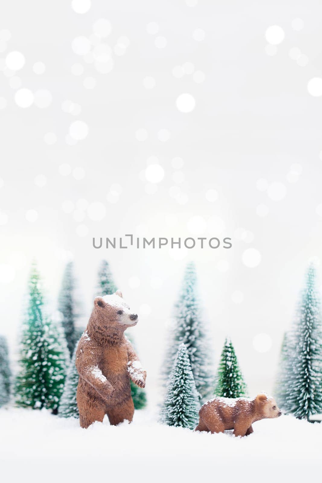 Christmas polar and grizzly bears in Snowy Winter Forest - Christmas Card
