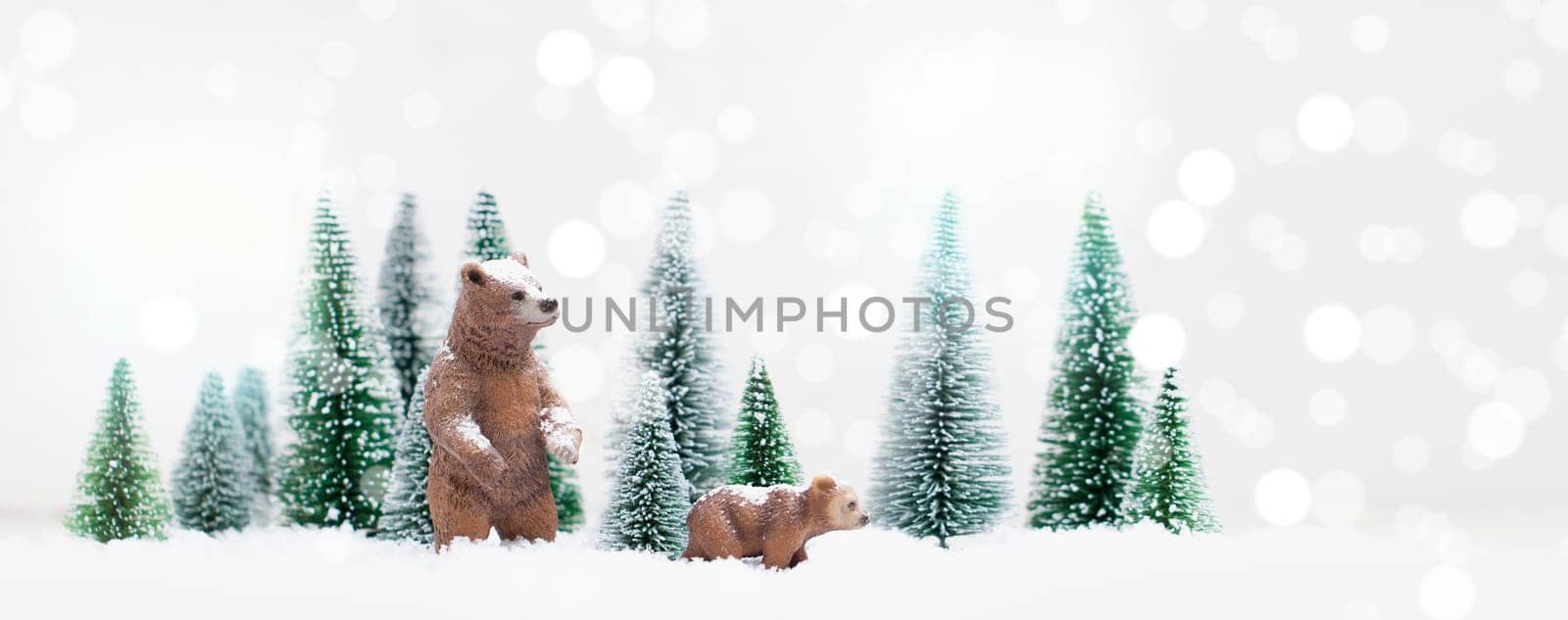 Christmas polar and grizzly bears in Snowy Winter Forest - Christmas Card