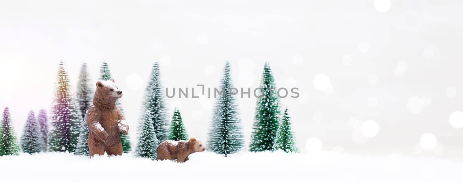 Christmas polar and grizzly bears in Snowy Winter Forest - Christmas Card