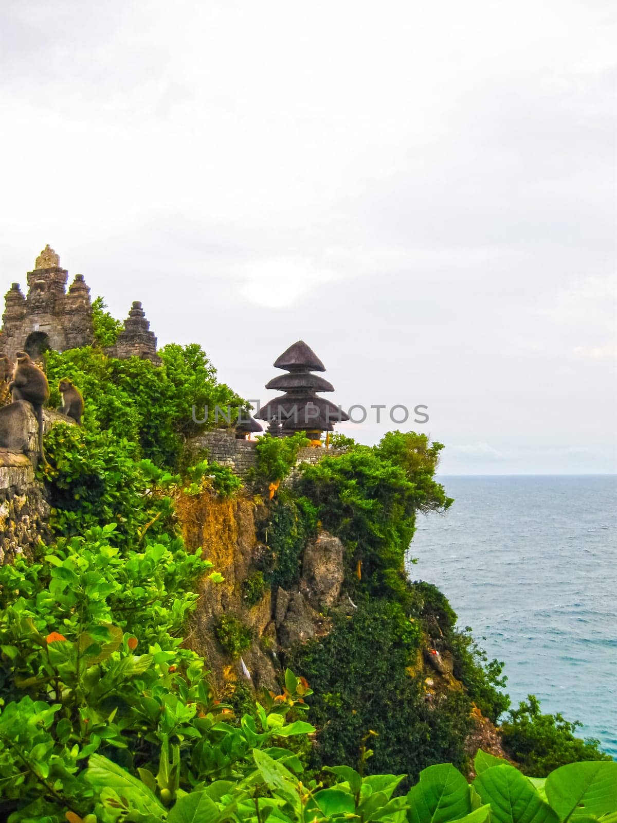 The ocean, waves, monkeys at Uluvatu Bali Indonesia