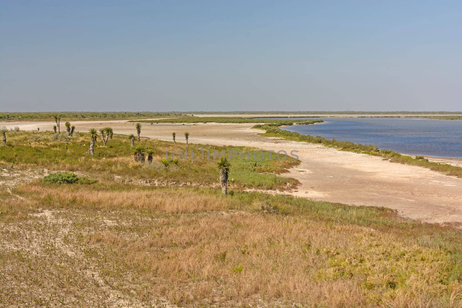 Shore Habitat of a Gulf Coast Refuge in the Luguna Atascosa Wildlife Refuge in Texas