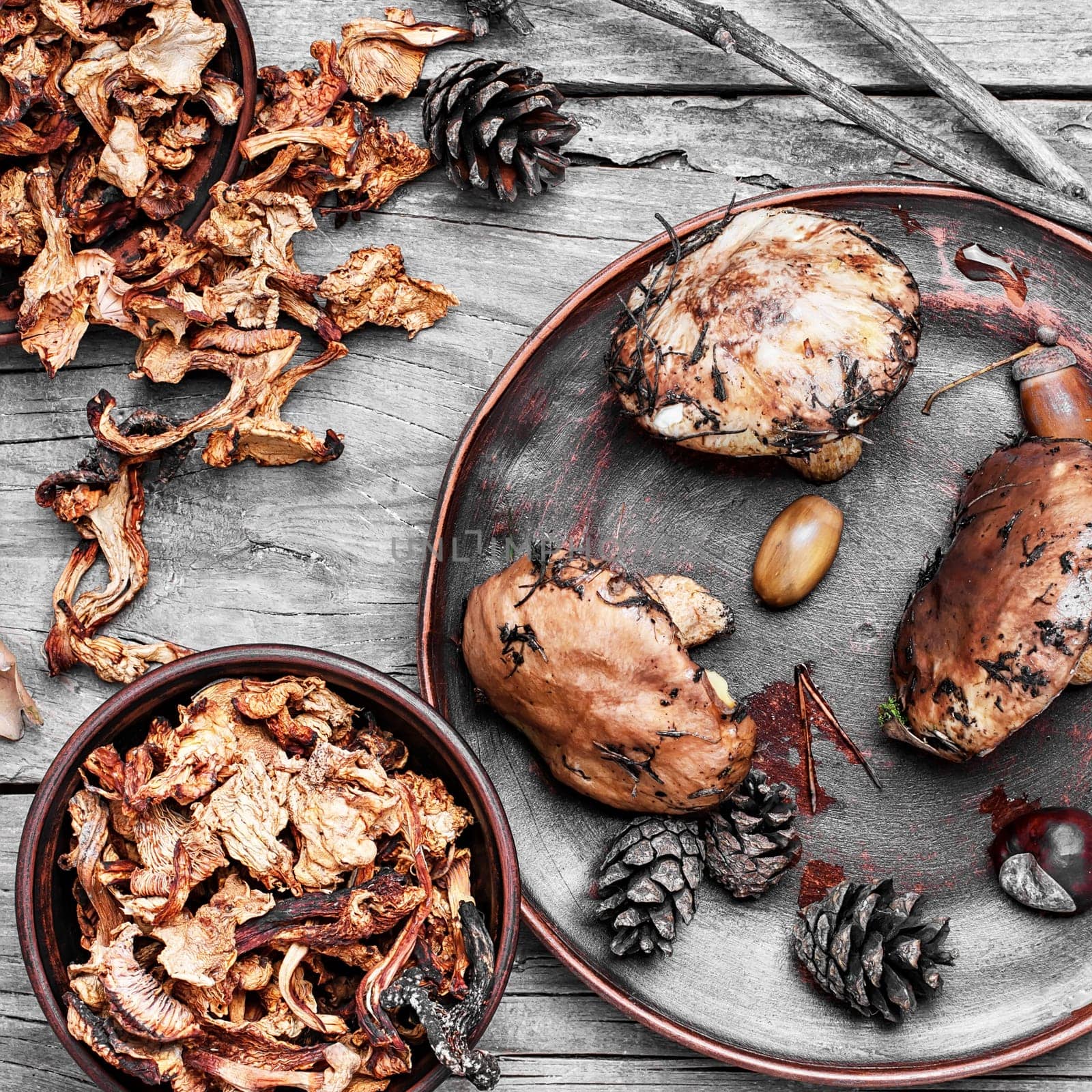 Plate collected in the forest boletus mushrooms on wooden background