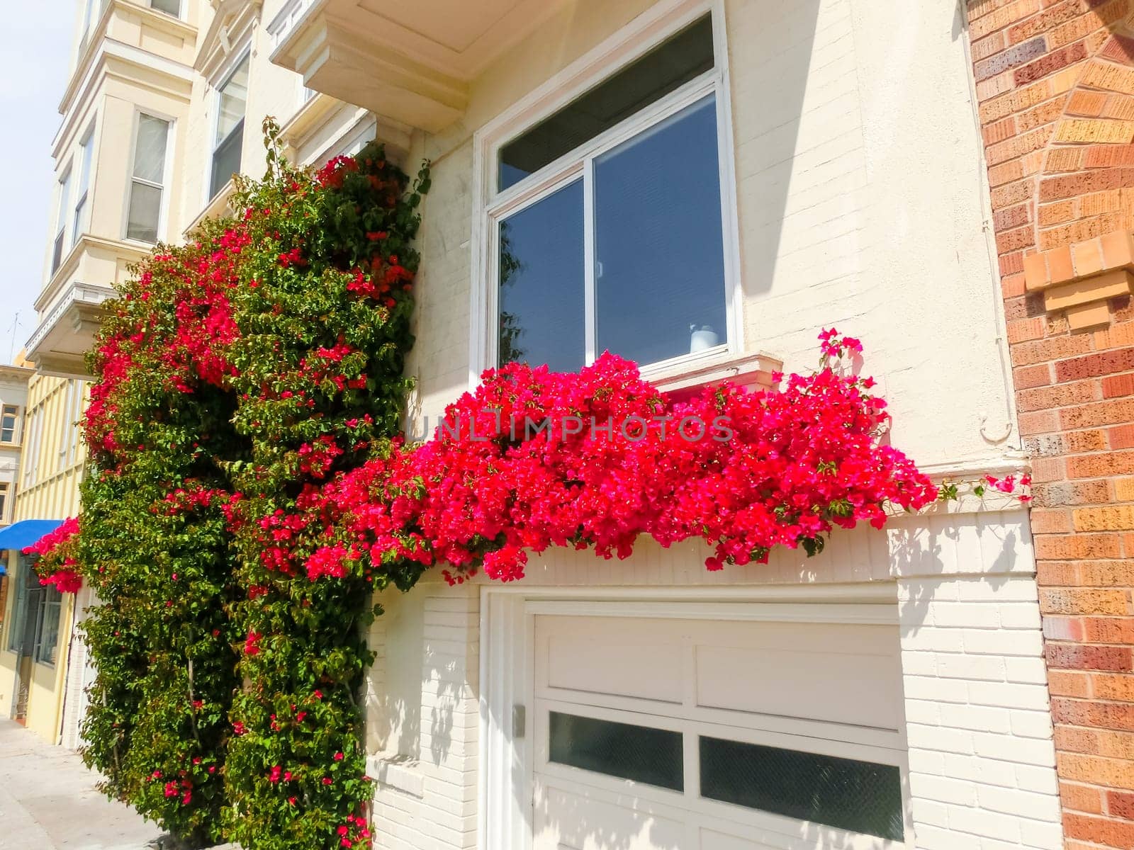 The tipical buildings at San Francisco, USA